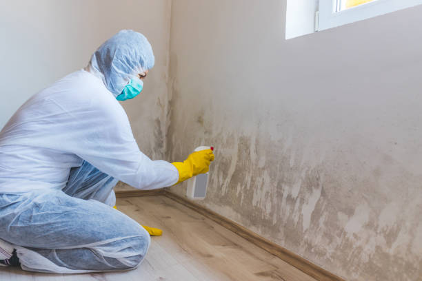 Licensed Hvac And Air Duct Mold Remediation service in Fort Lee, VA - Car Mold Remediation